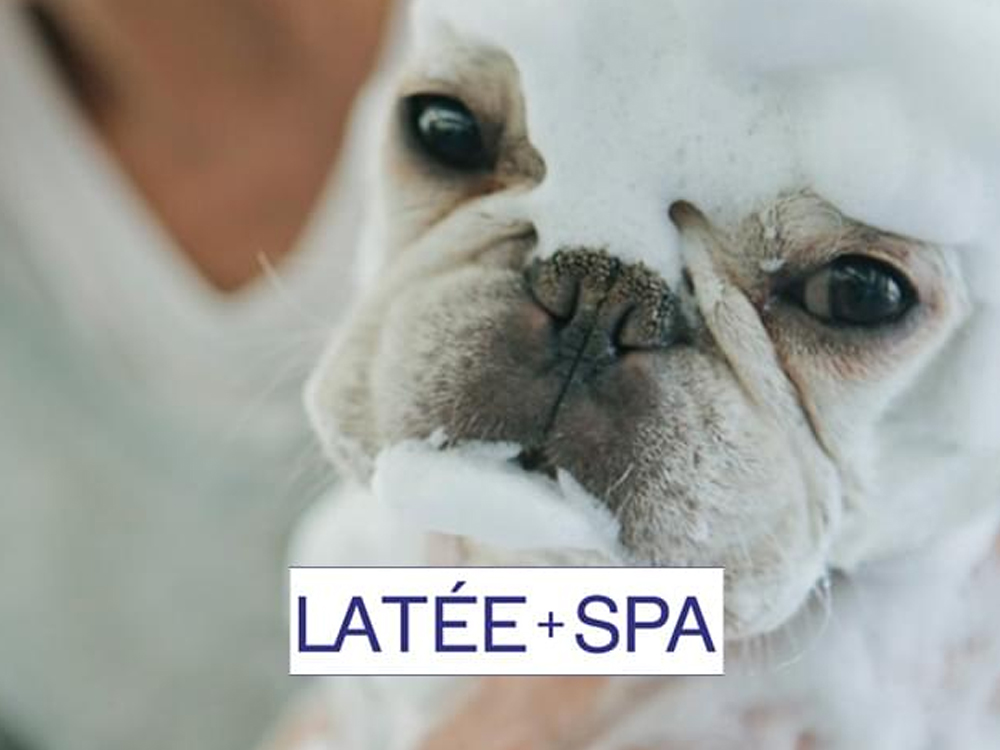 LATEE+SPA（ラテスパ）